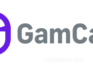 Descargar aplicación 9kboss